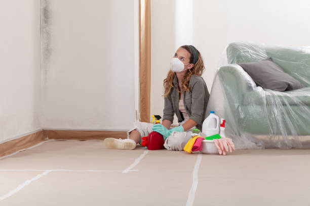 Reliable Black Mold Removal contractor in Chestertown, MD by WQB Mold Removal
